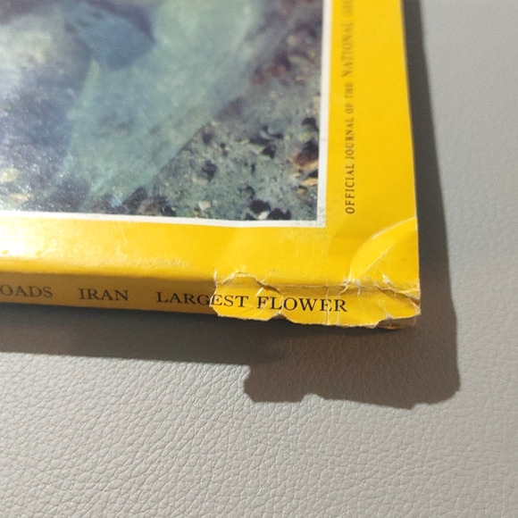 National Geographic Magazine July 1985 Basque Whaling Israel Iran Largest Flower - Picture 4 of 11